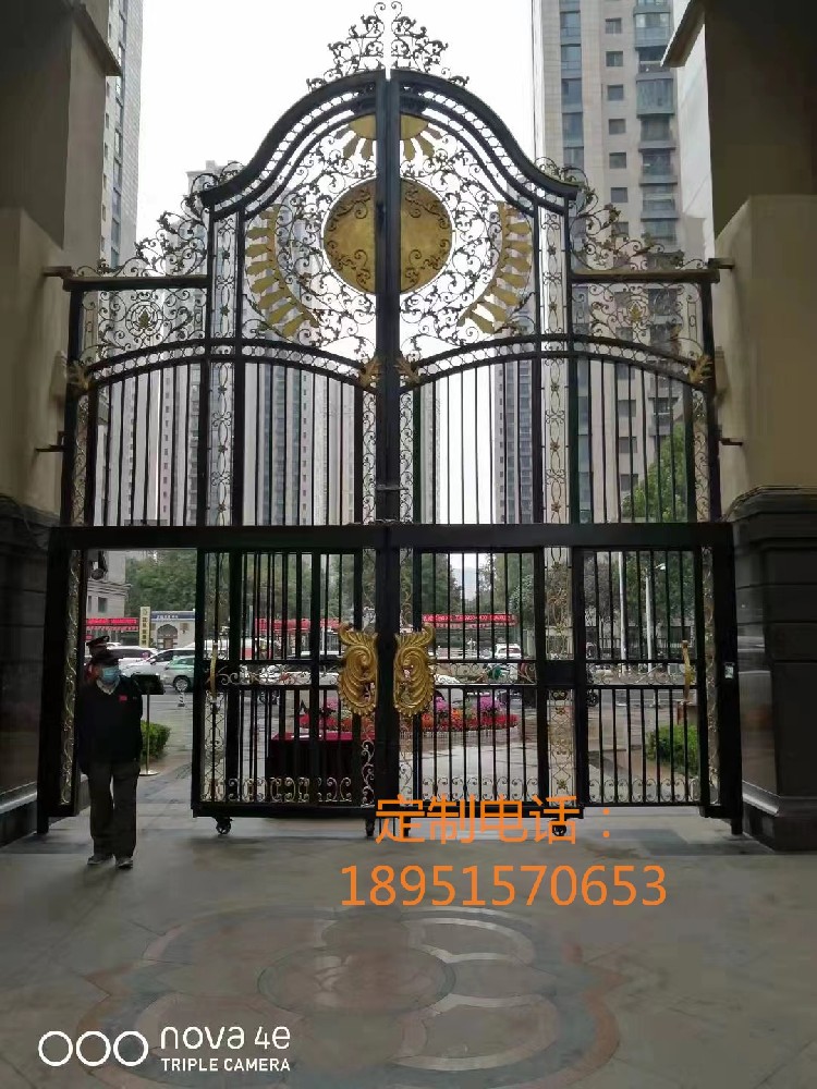 豪华铁艺大门